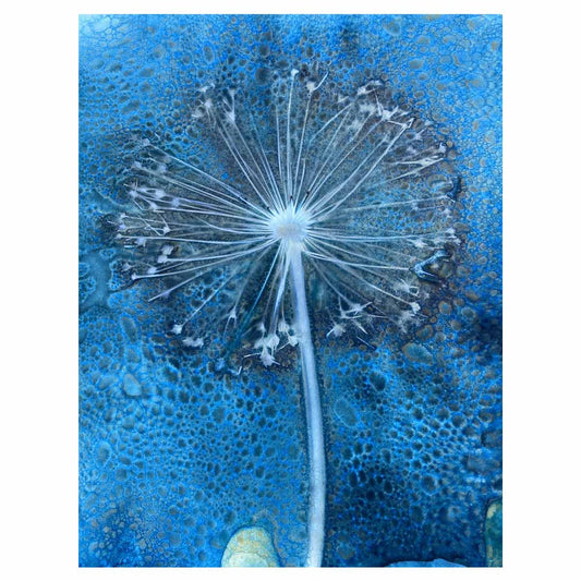 Allium II
