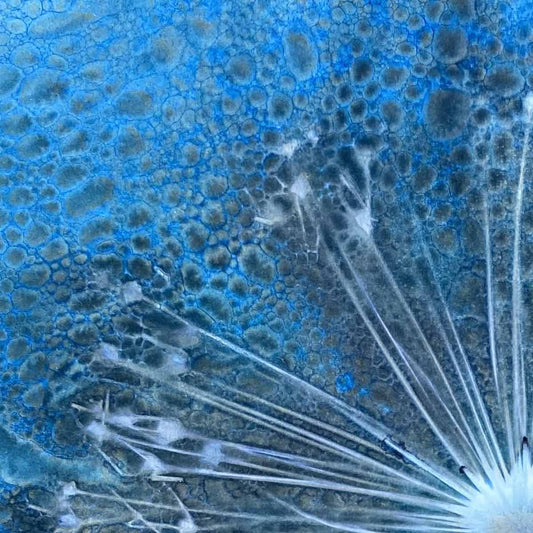 Allium II