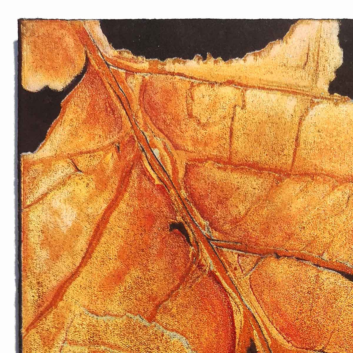 Autumn Leaf