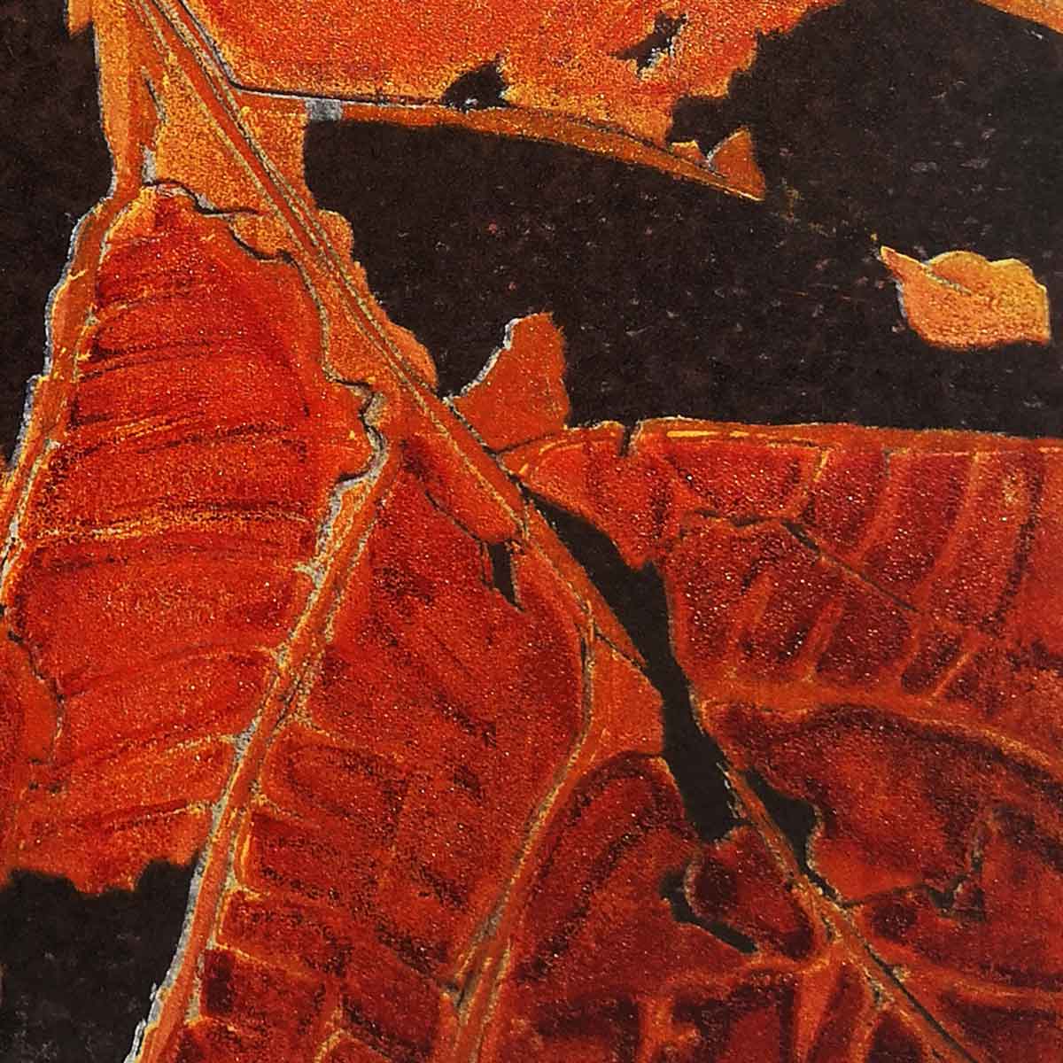 Autumn Leaf