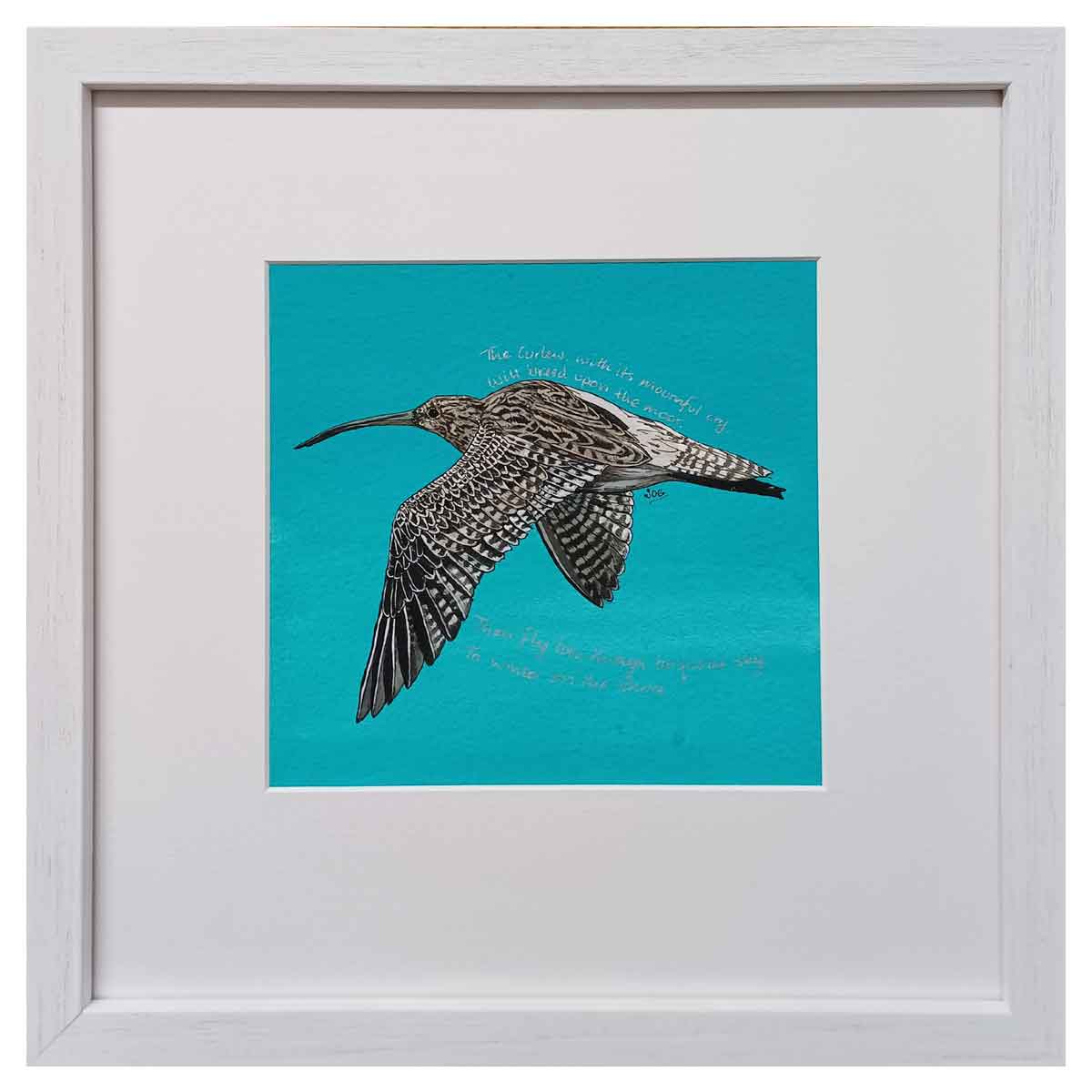 Blue Curlew