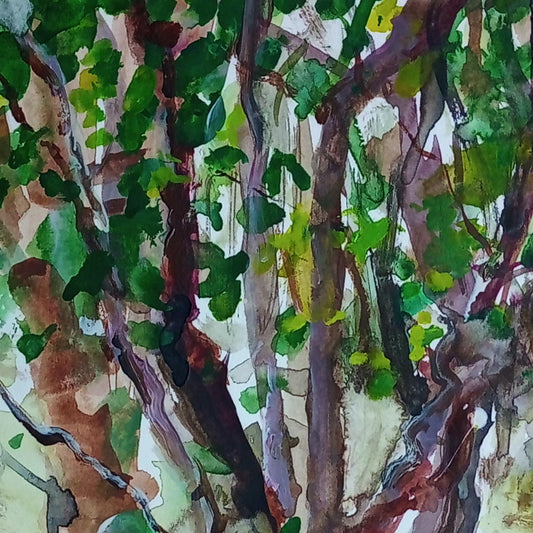 Bower 1 - 50cm x 40cm (Mount Size)