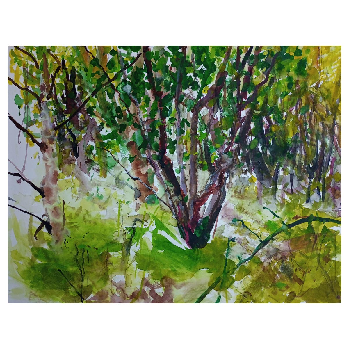 Bower 1 - 50cm x 40cm (Mount Size)