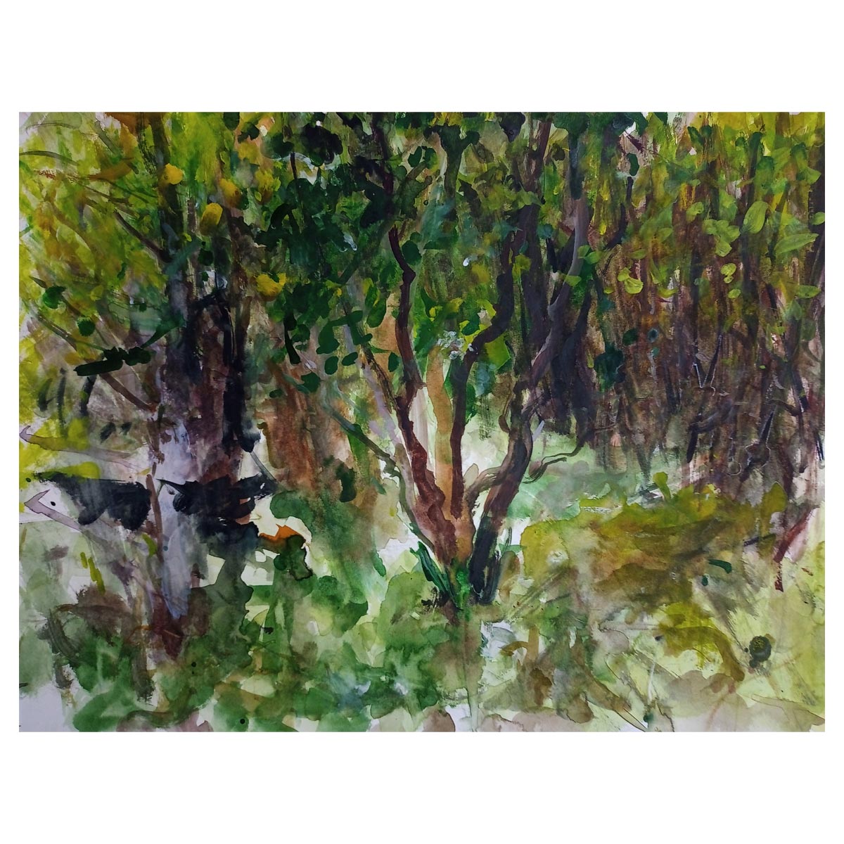Bower 2 - 50cm x 40cm (Mount Size)