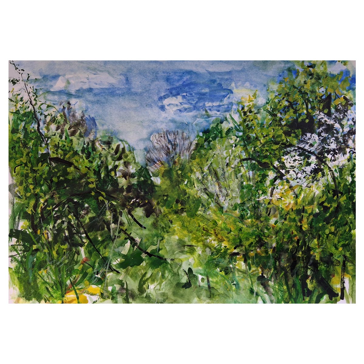 Clearing 1 - SOLD