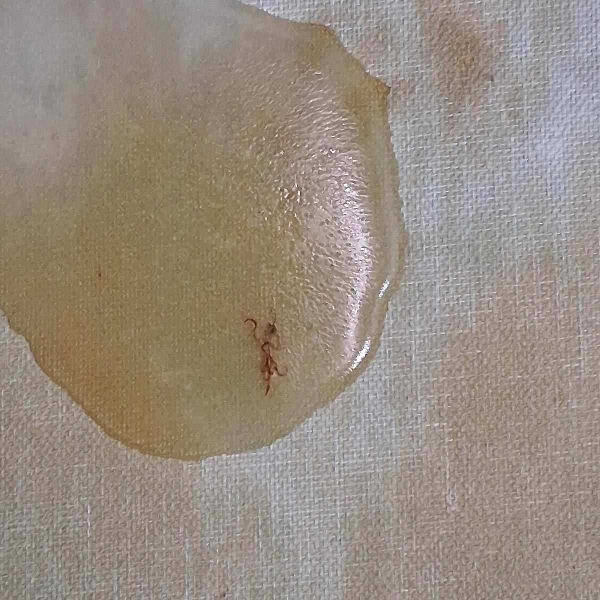 Effigy 1 - 21cm x 26cm