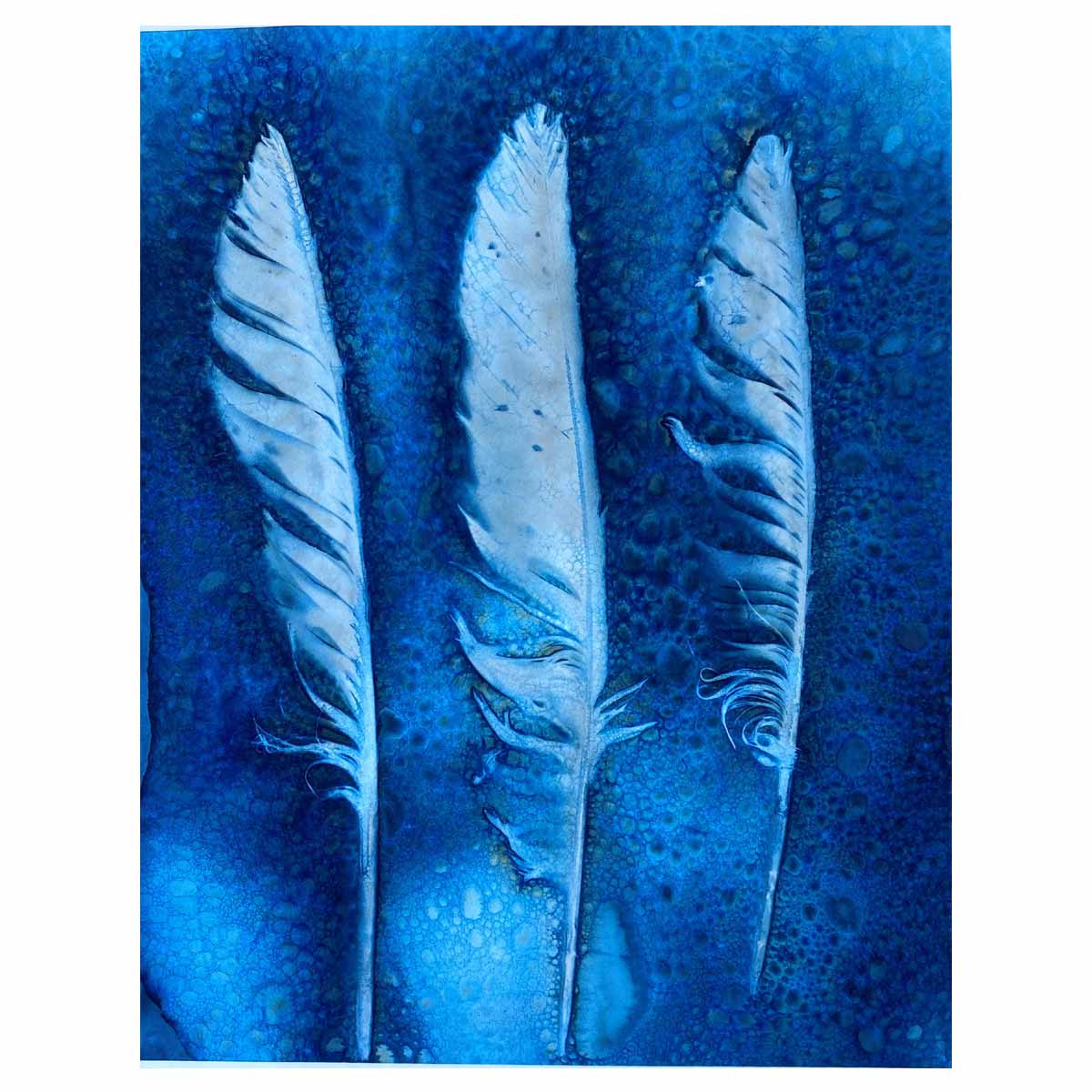 Feathers