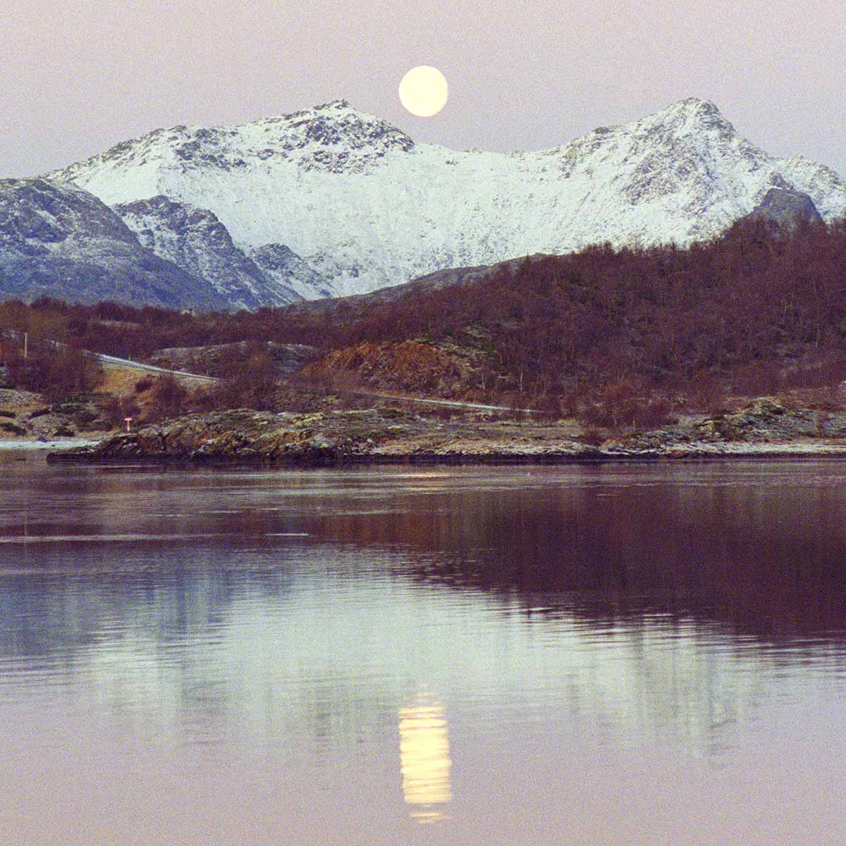 Pink Moon (Framed)