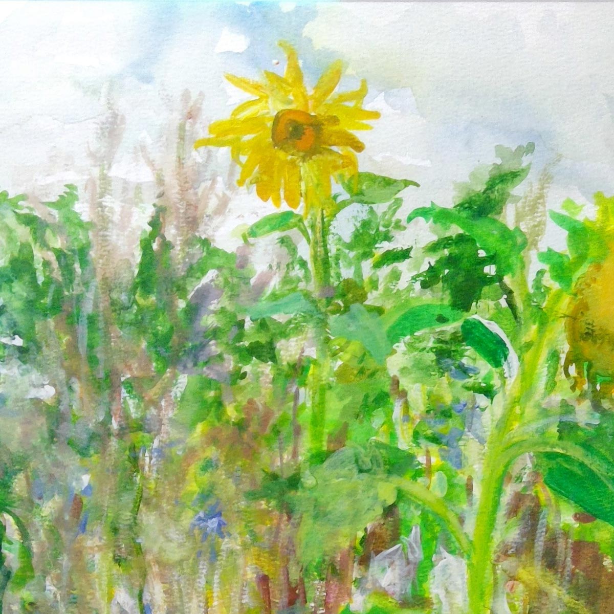 Plains 3 - 43.5cm x 55.5cm (Frame Size)