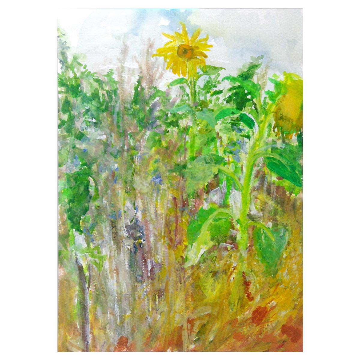 Plains 3 - 43.5cm x 55.5cm (Frame Size)