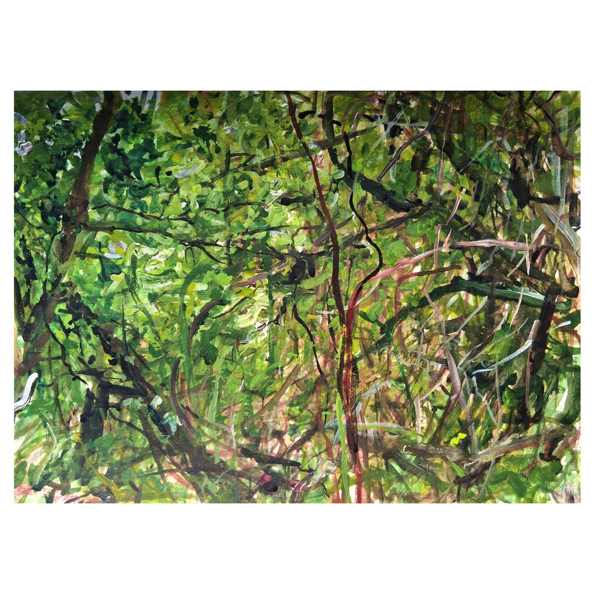 Verge 2 - SOLD
