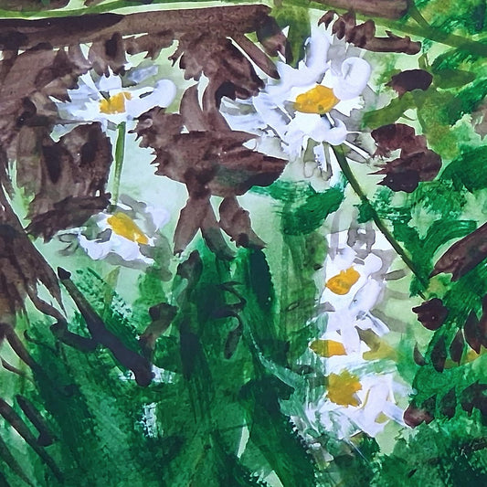 Verge 5 - 50cm x 40cm (Mount Size)