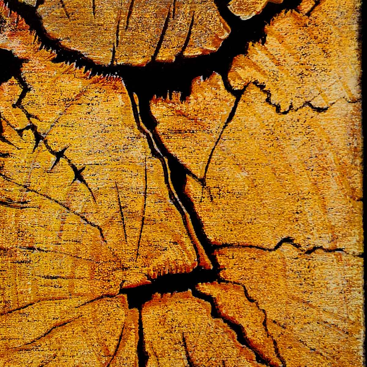Wood Steel and Iron