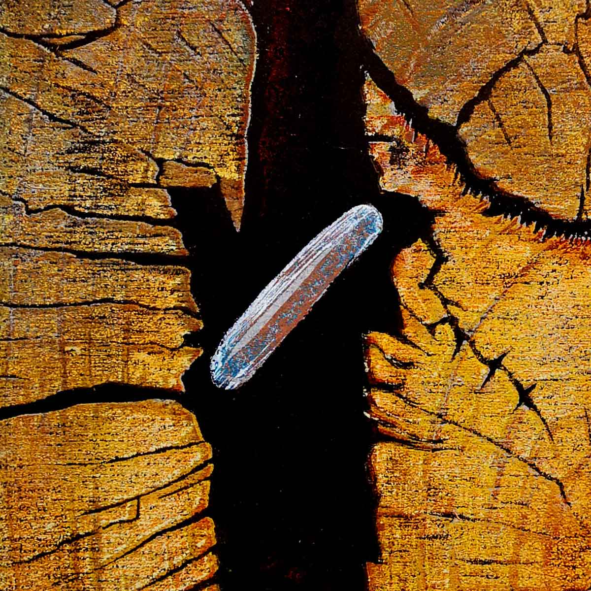Wood Steel and Iron