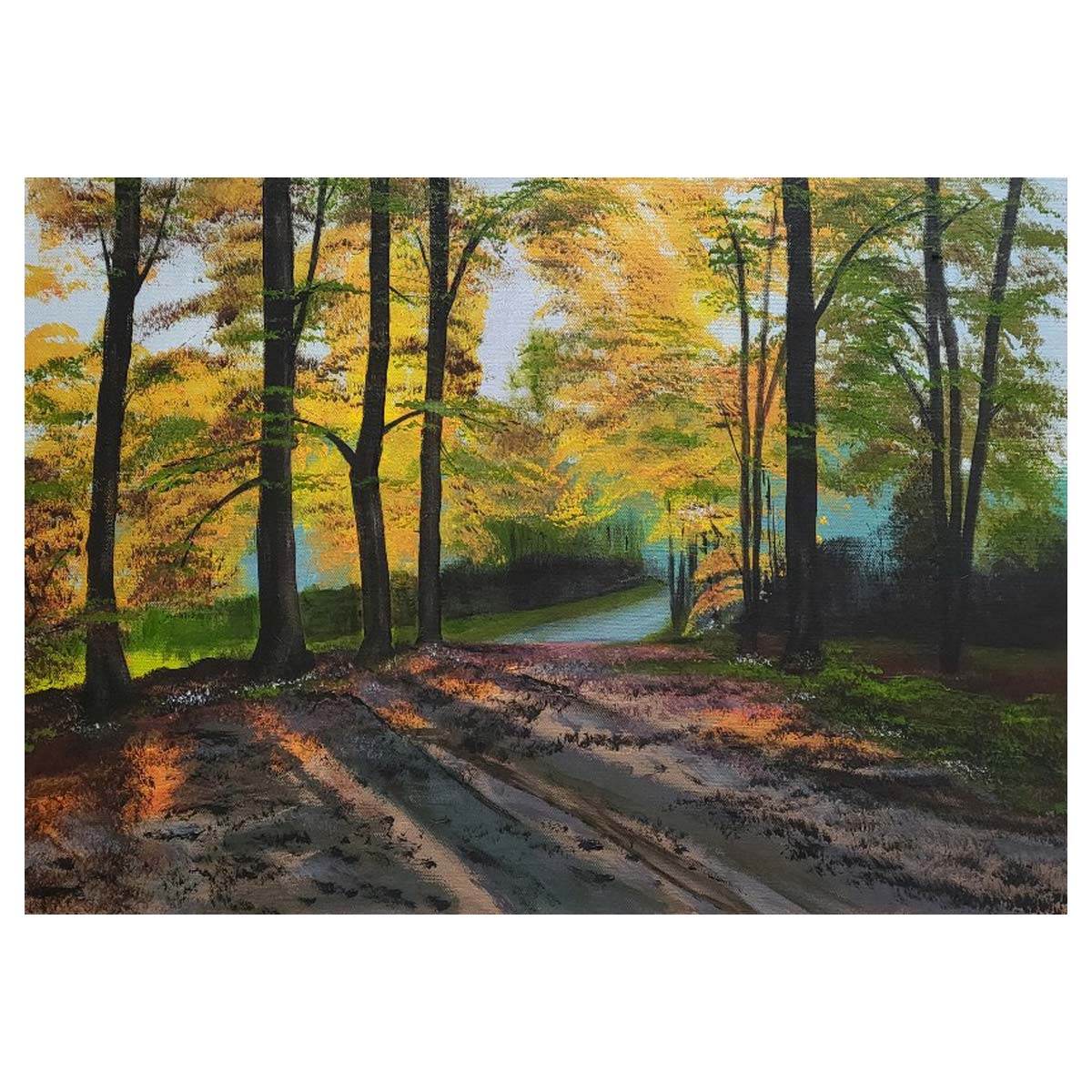 Evening Light