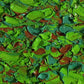 WLP 009 - 21cm x 26cm