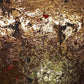 WLP 012 (Malaga3) - 21cm x 26cm (24x29 Frame Size)