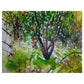 Bower 1 - 50cm x 40cm (Mount Size)
