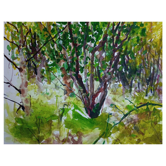 Bower 1 - 50cm x 40cm (Mount Size)