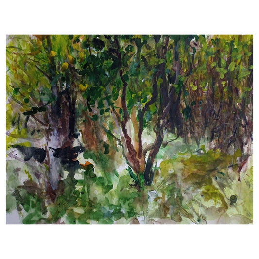 Bower 2 - 50cm x 40cm (Mount Size)