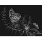 Chimera - Objectograph
