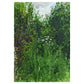 End Of The Clearing 2 - 40cm x 50cm (Mount Size)