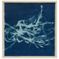 Venice Lagoon - cyanotype