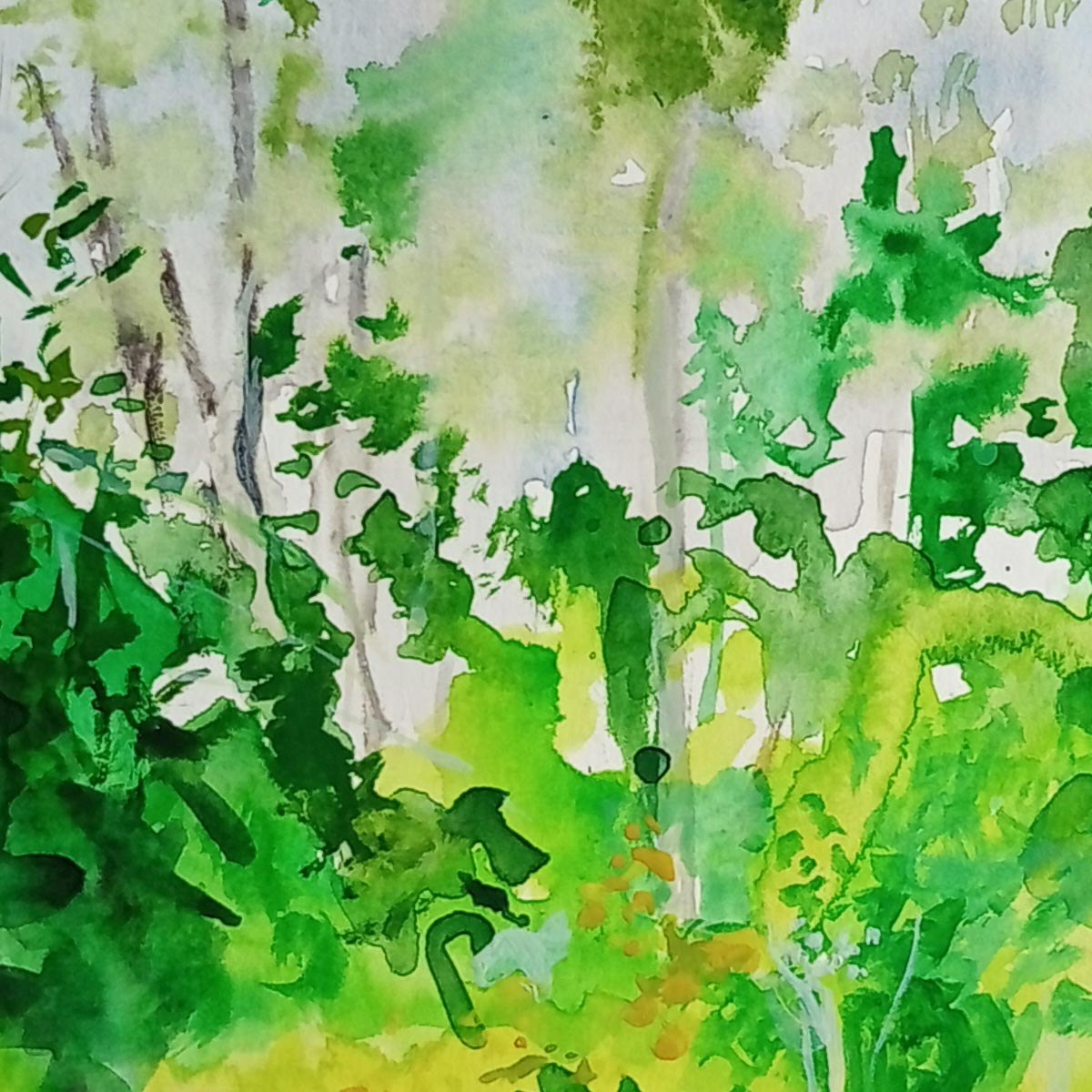 Special Field 1 - 50cm x 40cm (Mount Size)