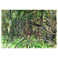 Verge 1 - 50cm x 40cm (Mount Size)