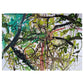 Verge 3 - 50cm x 40cm (Mount Size)
