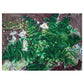 Verge 5 - 50cm x 40cm (Mount Size)