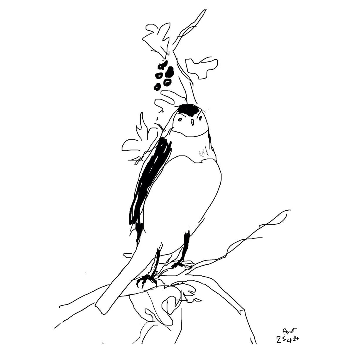 The Plump Warbler (Framed)